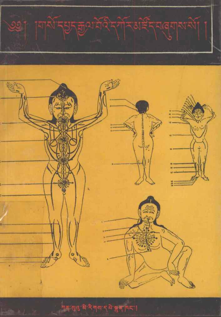 藏医医疗宝藏  藏文